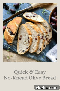 Quick & Easy No-Knead Olive Bread