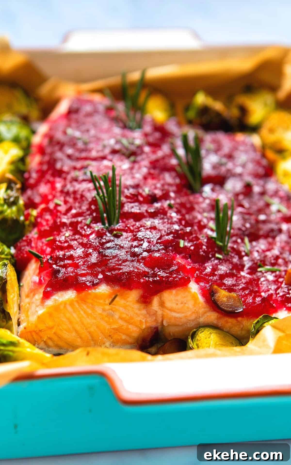 Close up of a salmon baked with cranberry sauce.