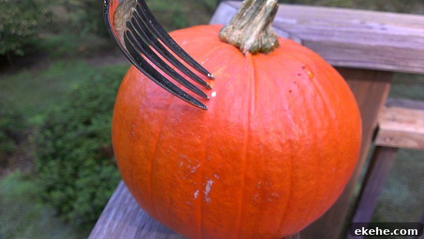 Step by Step Slow Cooker Pumpkin Purée