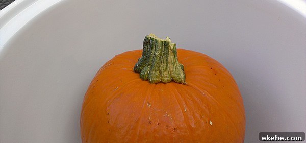 Step by Step Slow Cooker Pumpkin Purée