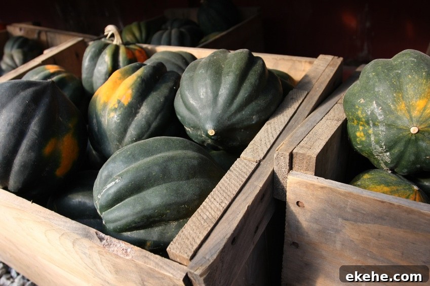 Acorn squash at the farmer’s market