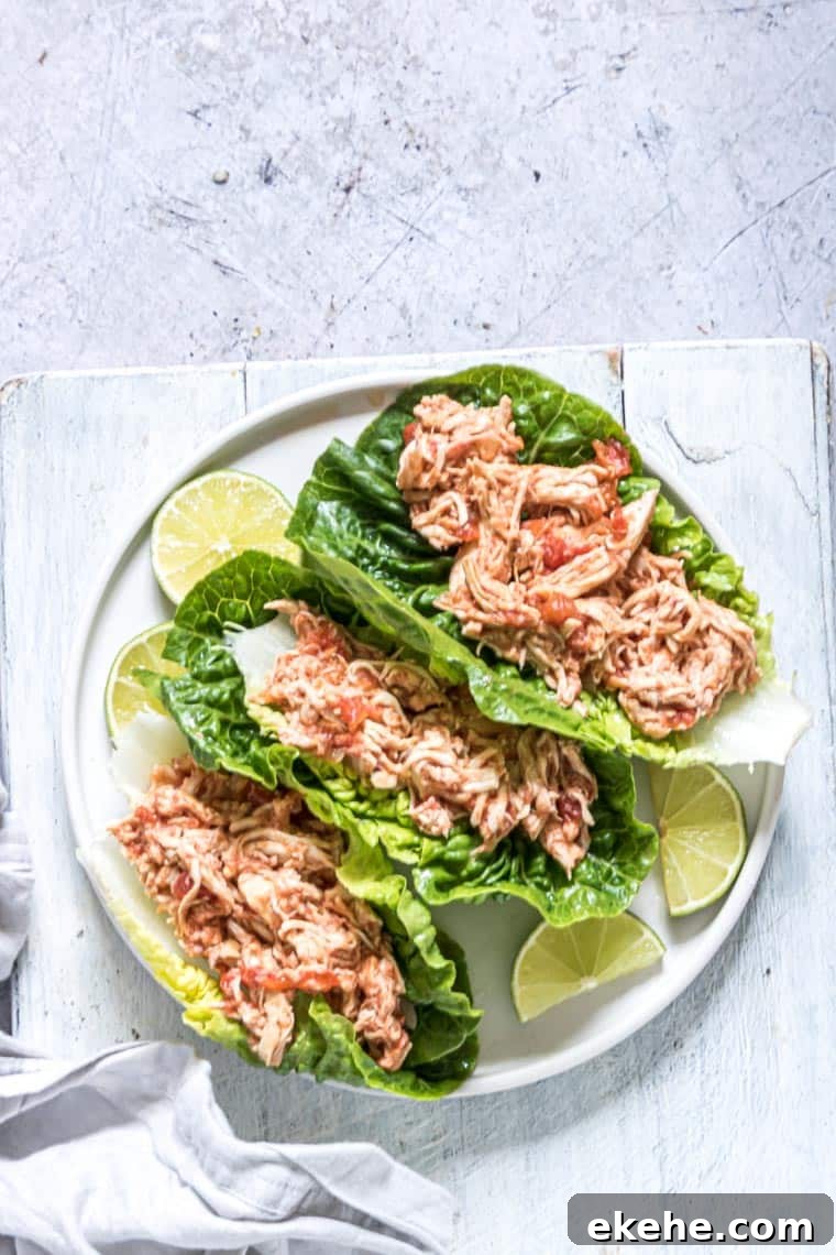 instant pot chicken salsa wraps on a plate and ready to serve