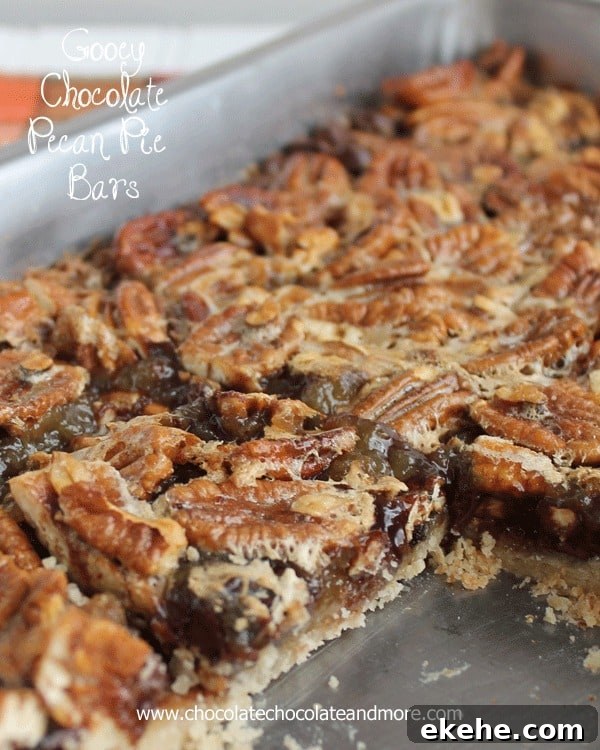 Gooey Chocolate Pecan Pie Bars extra photo
