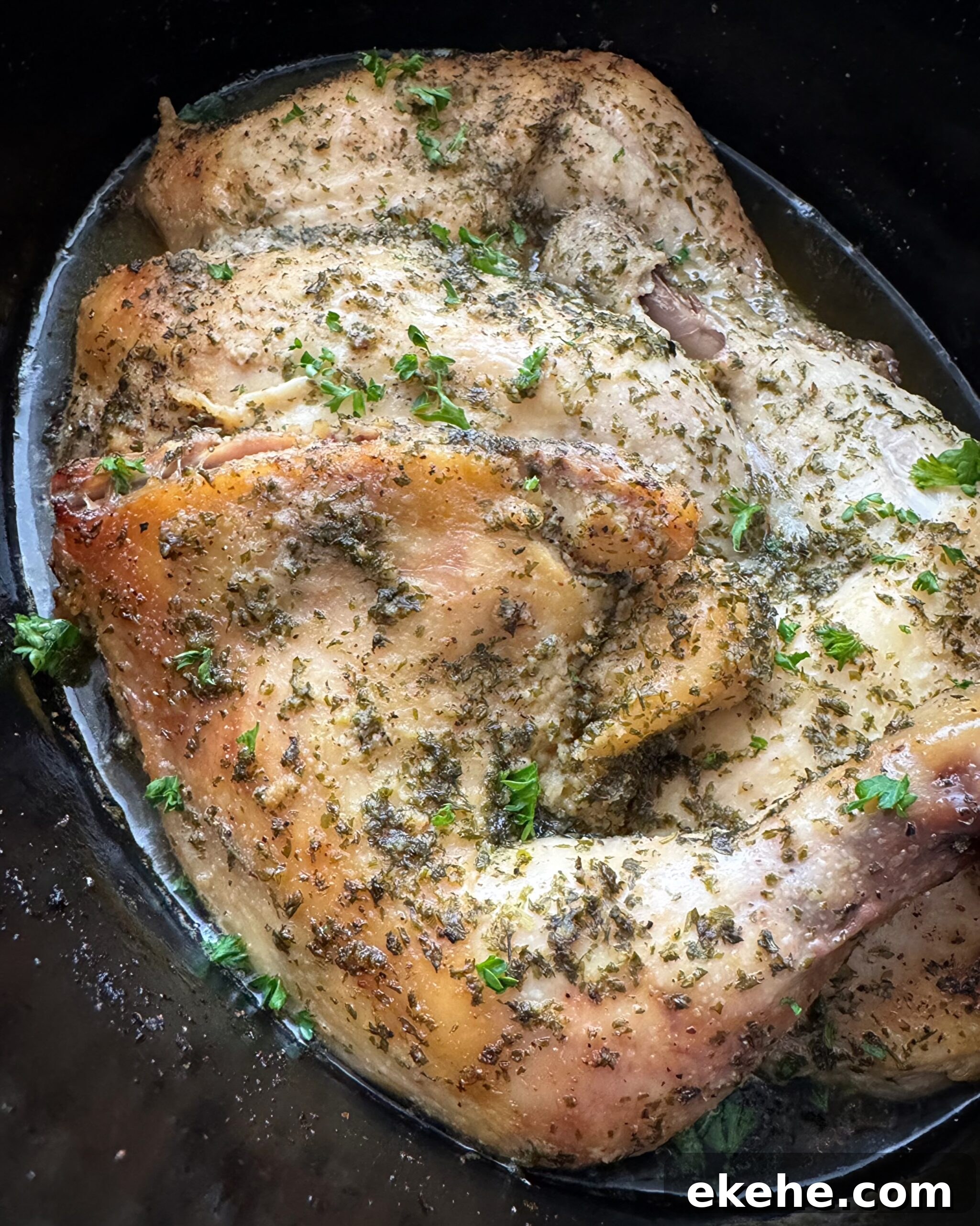 img 48649 1