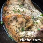 img 48649 6