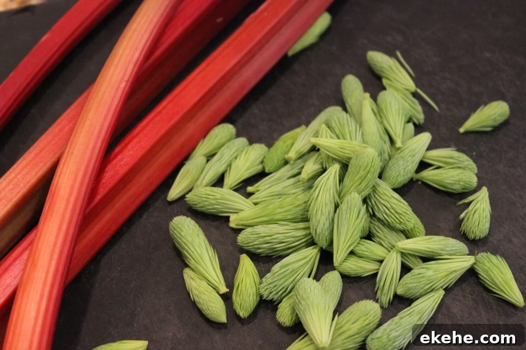 rhubarb and spruce tips