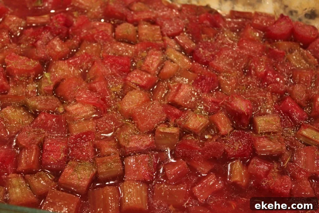 the baked rhubarb with spruce tips