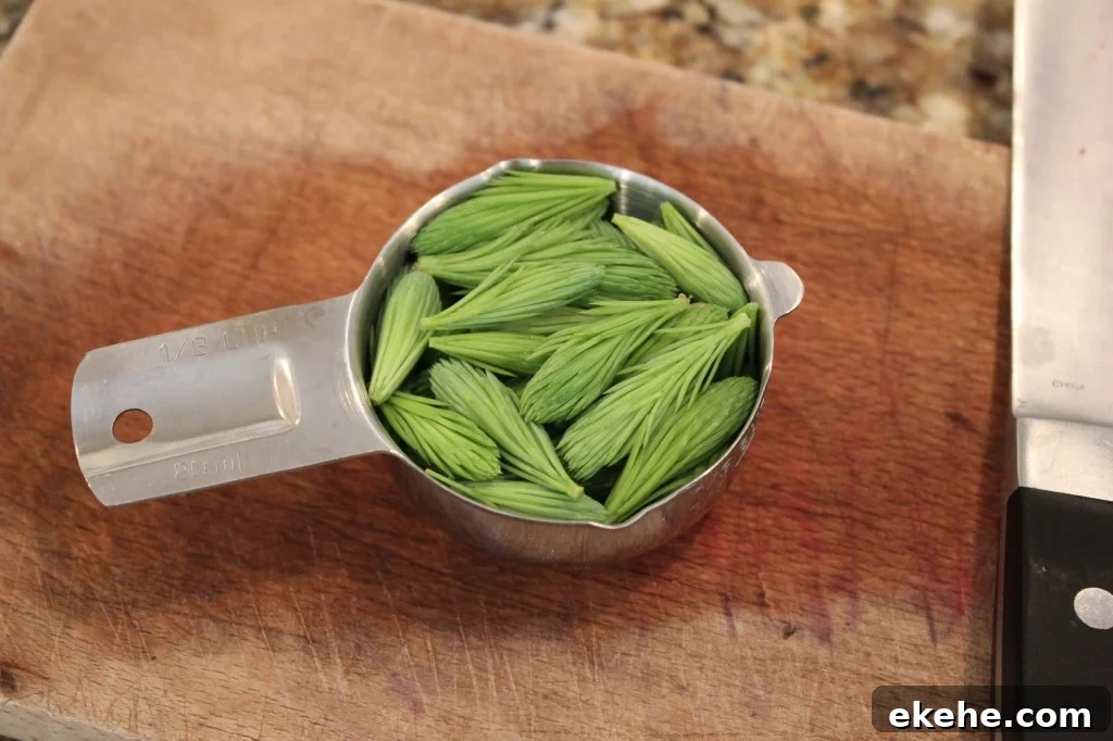 the spruce tips