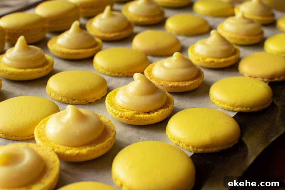 Yellow macarons halves topped with lemon filling