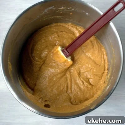 Pumpkin batter - wet and dry ingredients mixed together
