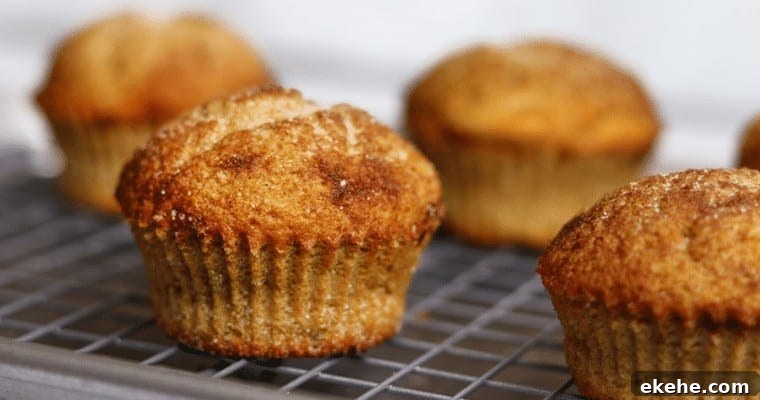 Snickerdoodle Muffins