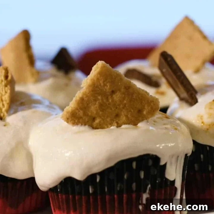 Ooey Gooey S'mores Cupcakes