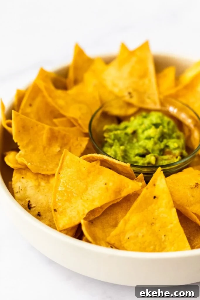 a side view of a bowl of tortilla chips with guacamole.