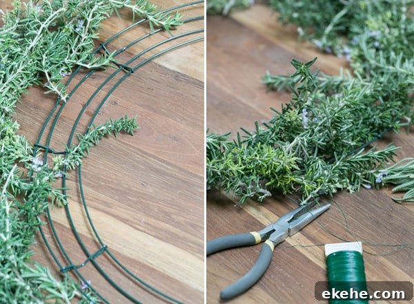 collage of pliers and rosemary being placed on wire frame - fresh rosemary wreath, rosemary wreaths, rosemary salt, how many sprigs, floral wire