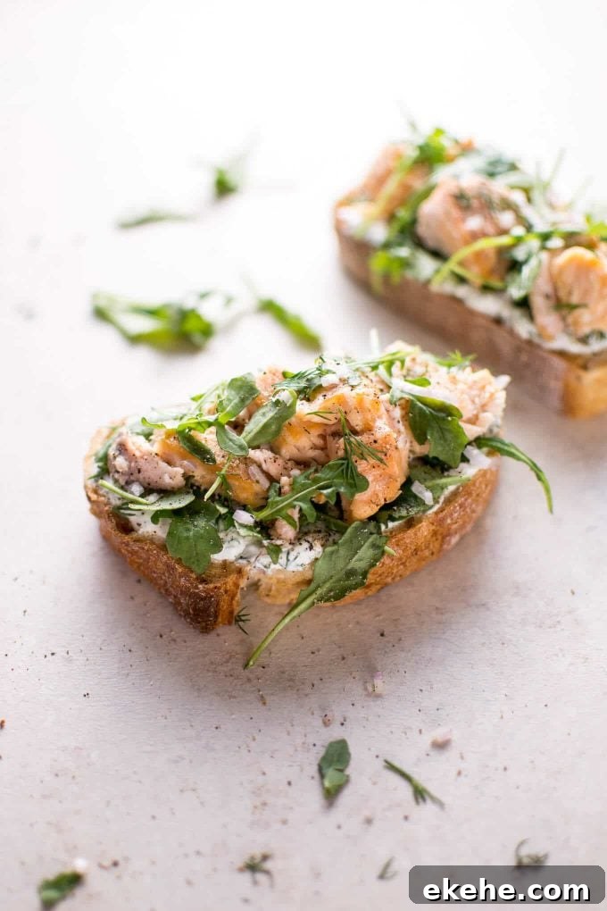 open-faced sandwich on a counter with lemon, dill, shallots, and arugula