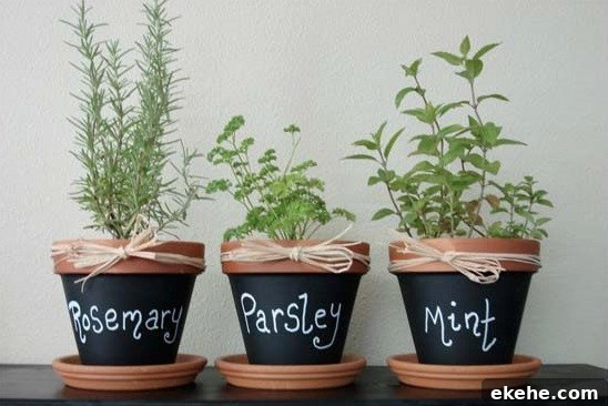 Chalkboard Herb Garden