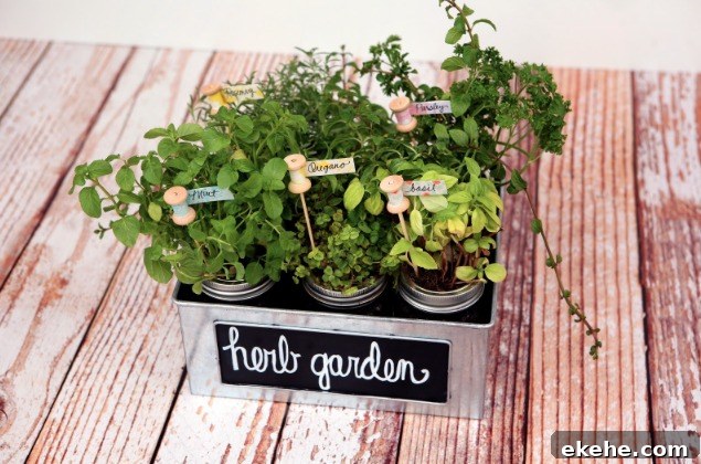 DIY Herb Garden & Plant Markers