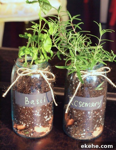 DIY: Mason Jar Herb Garden