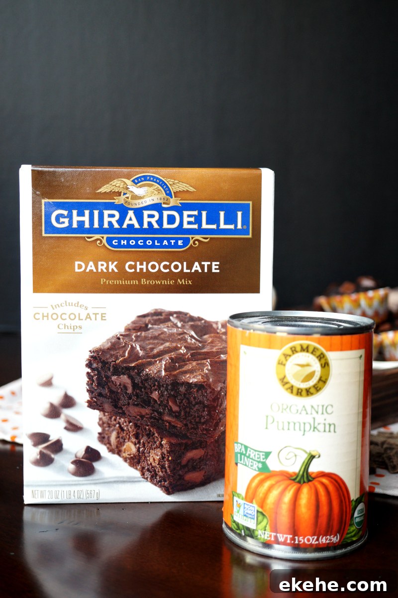 2-ingredient pumpkin brownies