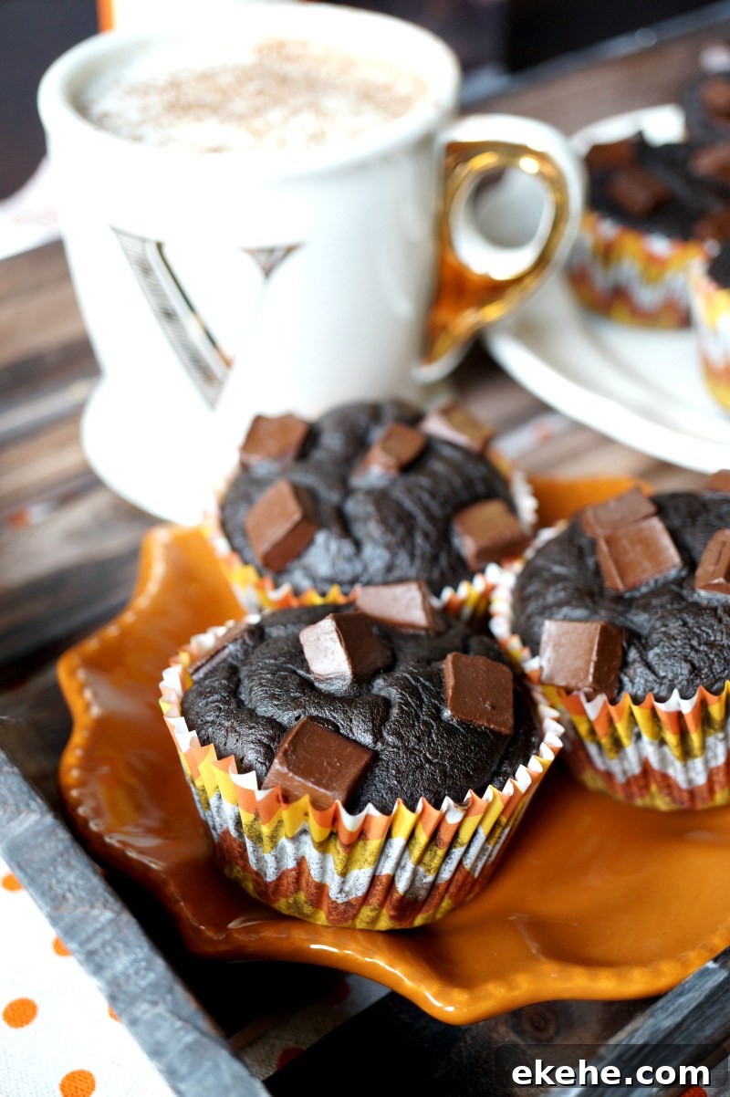 2-ingredient pumpkin brownies