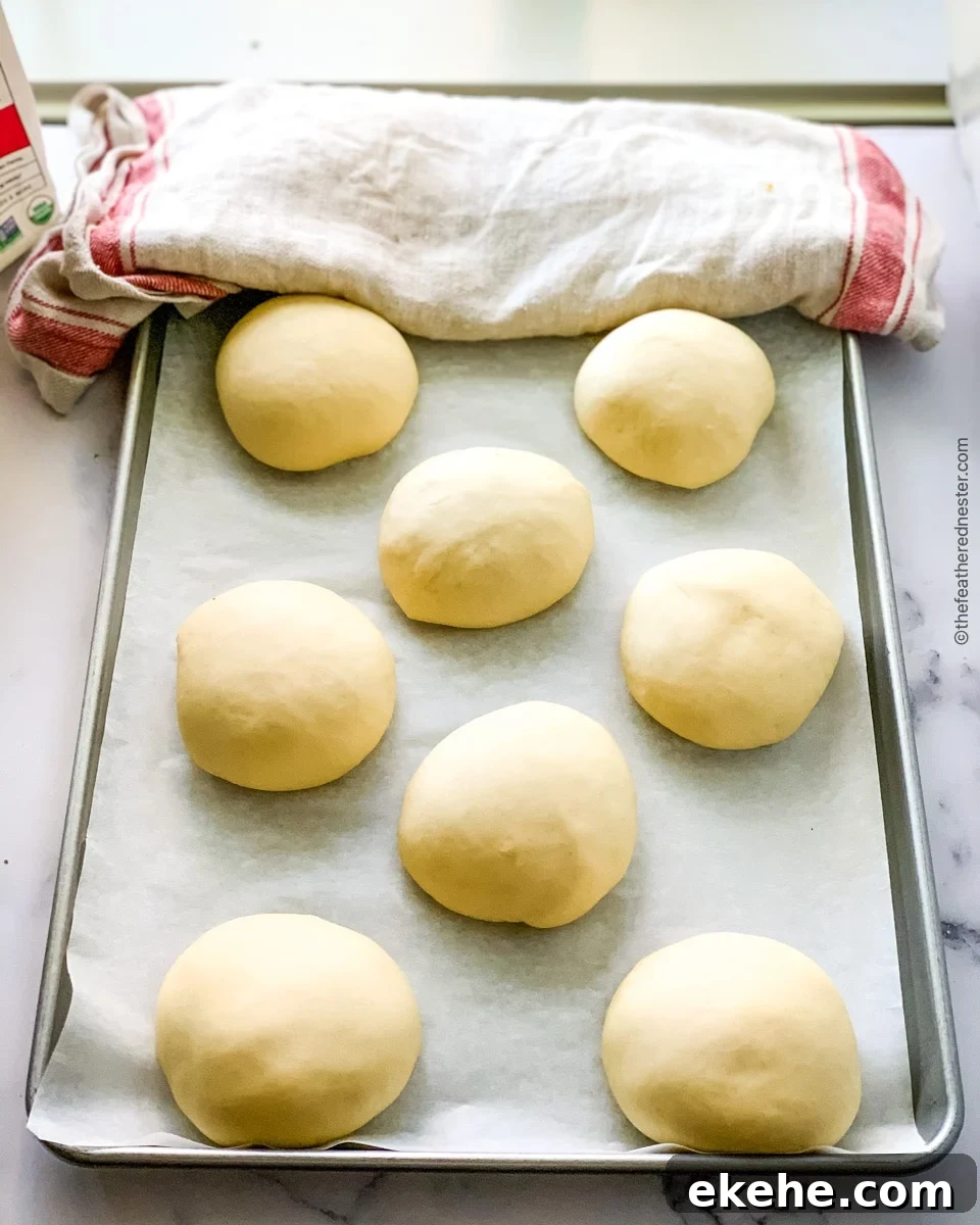 A baking sheet with 8 pieces of dough and a tea towel in the background.