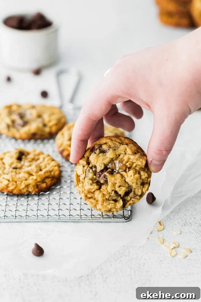 Chewy Oatmeal Chocolate Chip Cookies