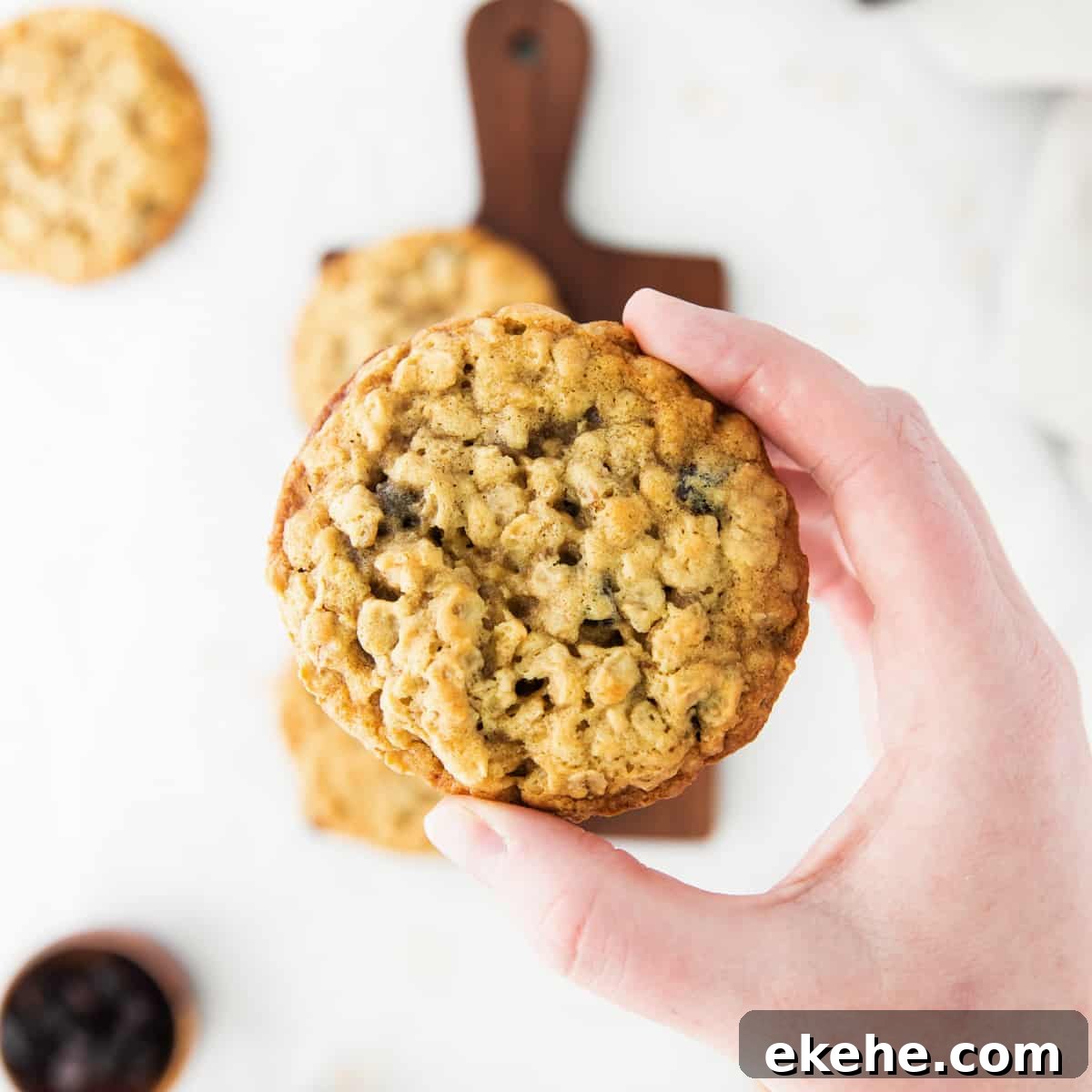 Oatmeal Raisin Cookies