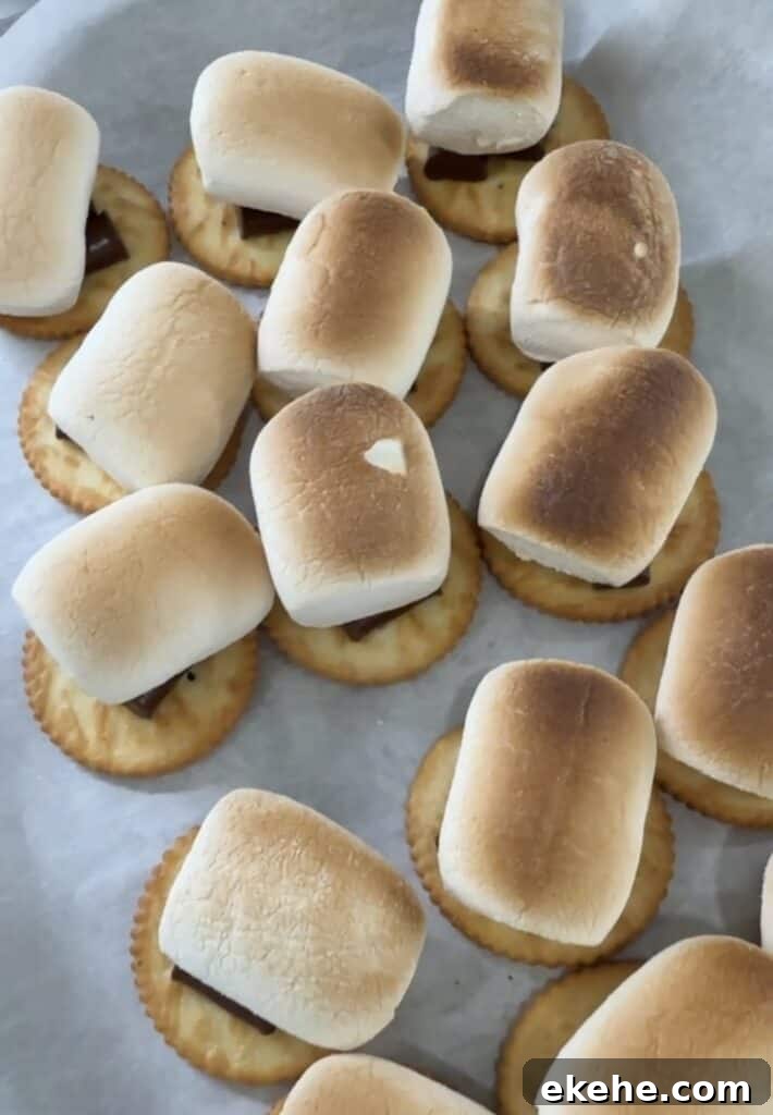 open-faced snacker s'mores