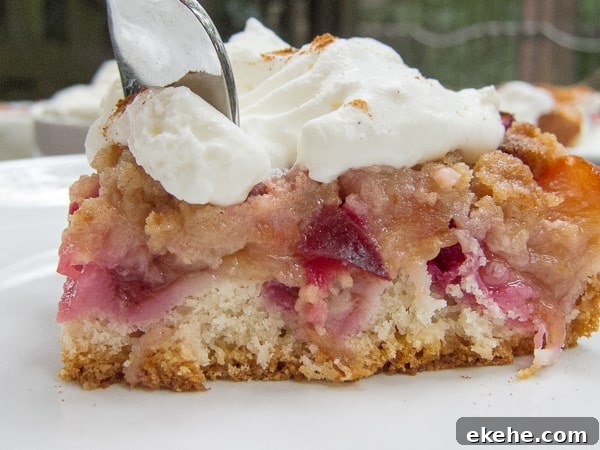German plum cake