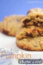 Title image for Double Pumpkin Kissed Chocolate Chunk Cookies
