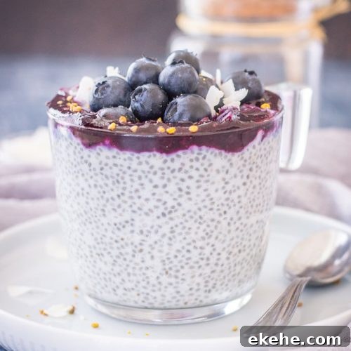 Blueberry Coconut Chia Pudding made with coconut cream topped with blueberry sauce, fresh blueberries, and coconut chips served in a glass bowl.