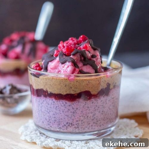 Raspberry Chia Pudding with almond butter and raspberry jam topped with banana raspberry ice cream and chocolate