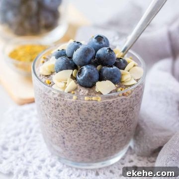 Blueberry Chia Pudding served in a glass bowl with a spoon