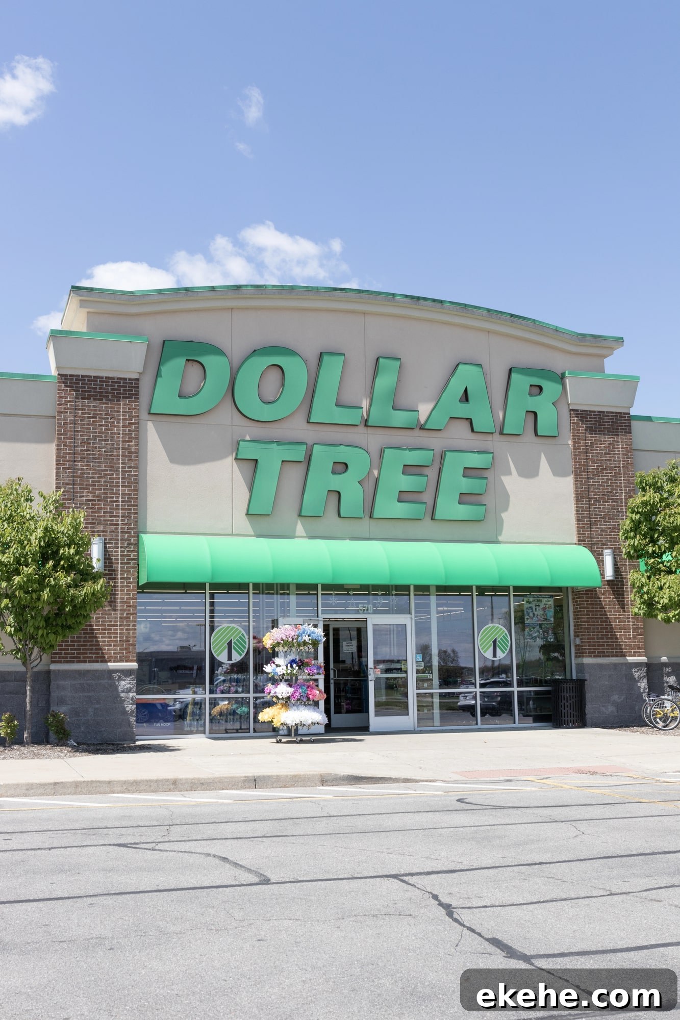 exterior of dollar tree store