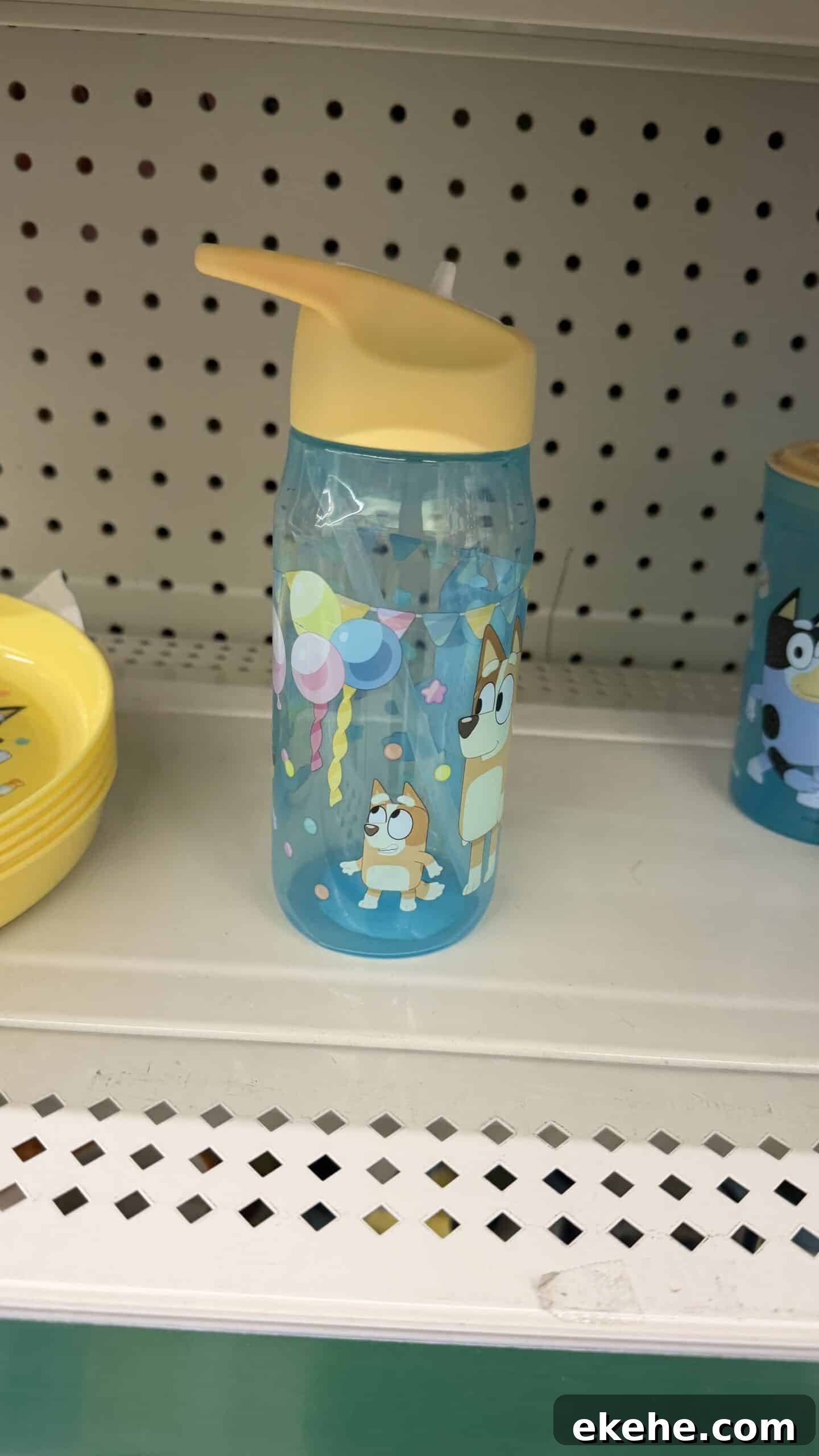 kids bluey water bottle on shelf at dollar tree