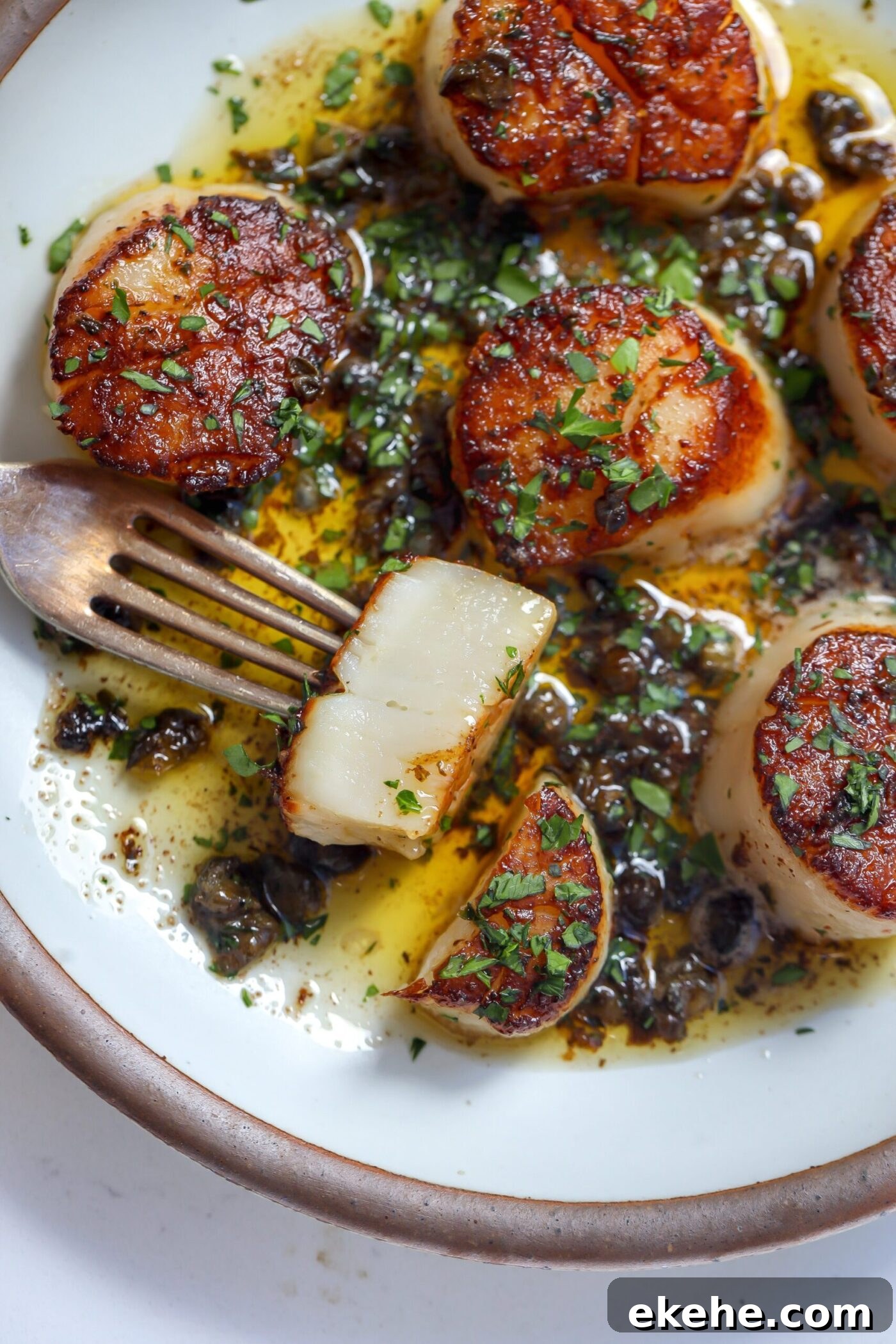 A recipe for pan seared scallops on a plate with a lemon caper butter sauce drizzled on top.