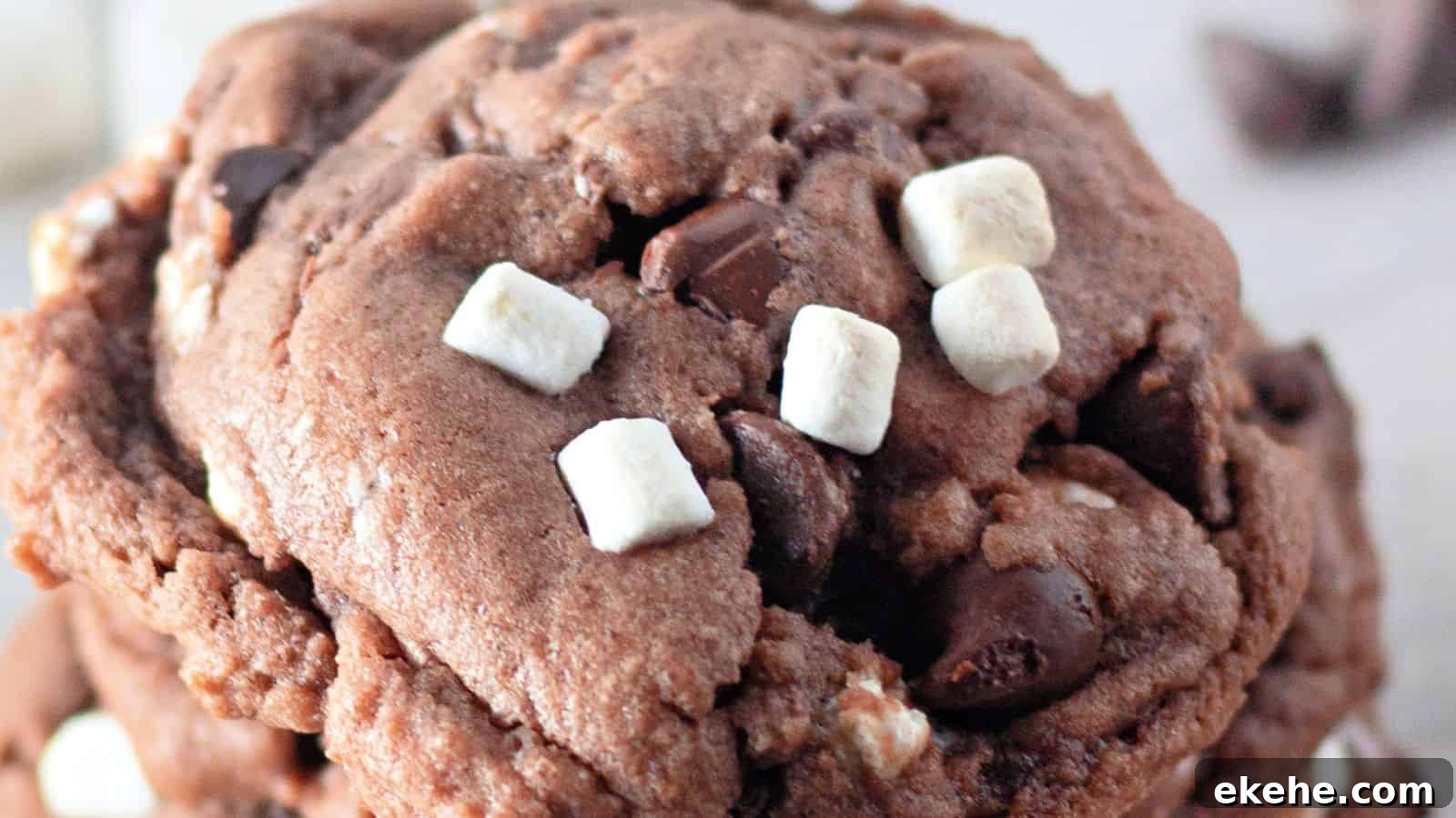 A close-up of a chocolate cookie with chocolate chips and small white marshmallows on top.