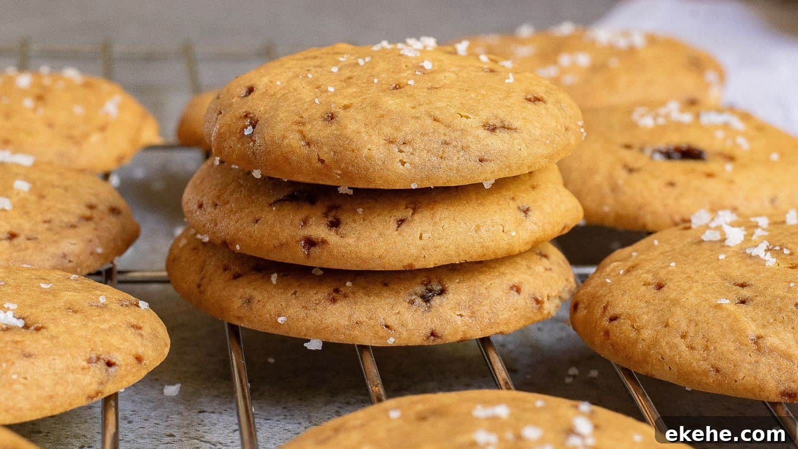 A stack of three round, golden-brown cookies with chocolate flecks and a sprinkle of salt on top, resting on a cooling rack with more cookies around them.